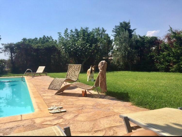 Relaxing Villa With Swimming Pool And Garden Agios Georgios  Exteriör bild